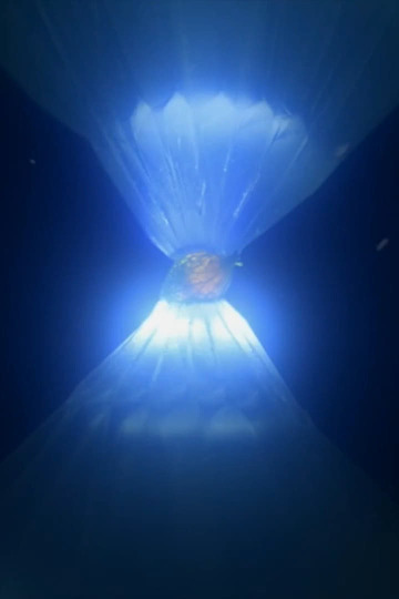 ルカと太陽の花