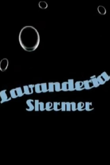 Lavanderia Shermer