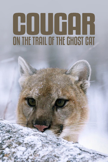 Cougar: On the Trail of the Ghost Cat
