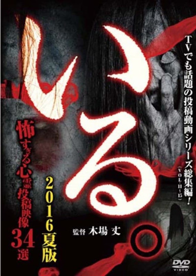 「Iru.」(Vol.11-15) Sōshūhen 2016 Natsu-ban Kowasugiru Shinrei Tōkō Eizō 34-sen