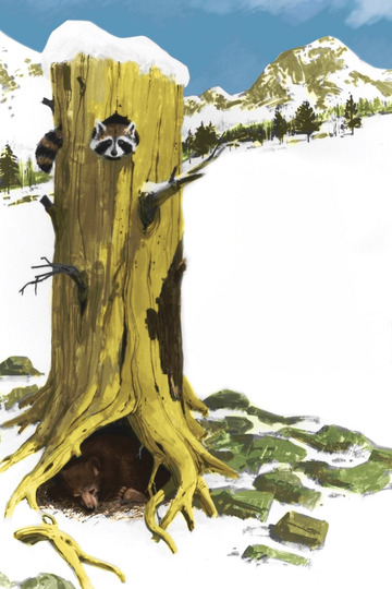 A Tale of Two Critters