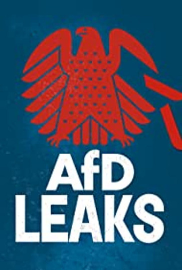 AfD-Leaks: Die geheimen Chats der Bundestagsfraktion
