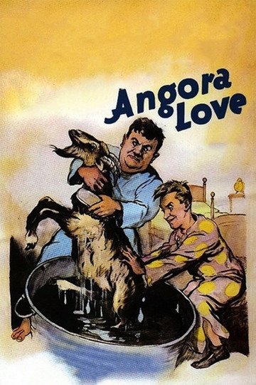 Ангорская любовь