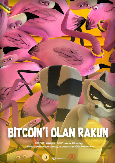 Bitcoin'i Olan Rakun