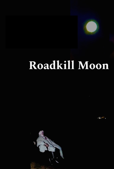 Roadkill Moon