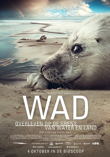 Wad: overleven op de grens van water en land