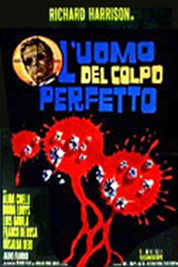 L'uomo del colpo perfetto