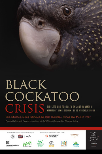 Black Cockatoo Crisis