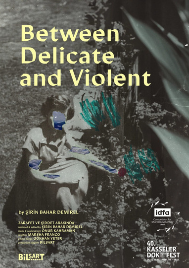 Between Delicate and Violent