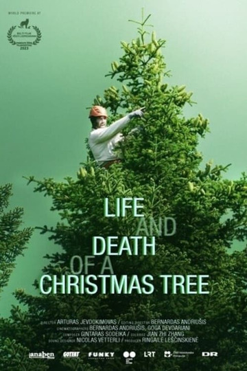 Kalėdų eglutės gyvenimas ir mirtis