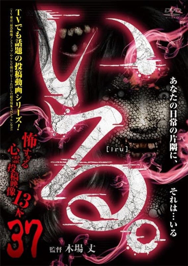 「Iru.」~ Kowasugiru Tōkō Eizō 13-hon ~ Vol.37