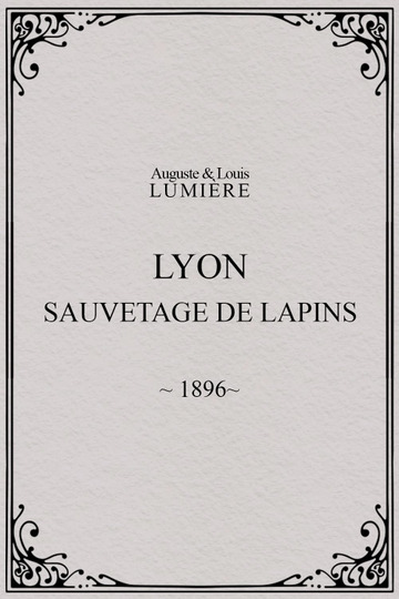 Lyon : sauvetage de lapins