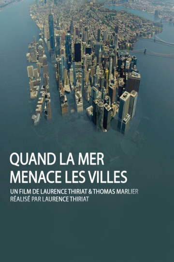 Megalopolis facing sea level rise