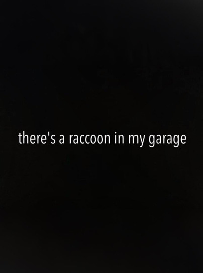 There's a Raccoon in My Garage