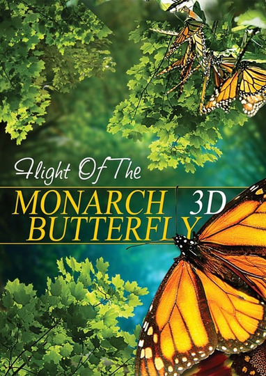 Невероятное путешествие бабочек Монарх