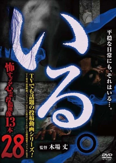 「Iru.」~ Kowasugiru Tōkō Eizō 13-hon ~ Vol.28