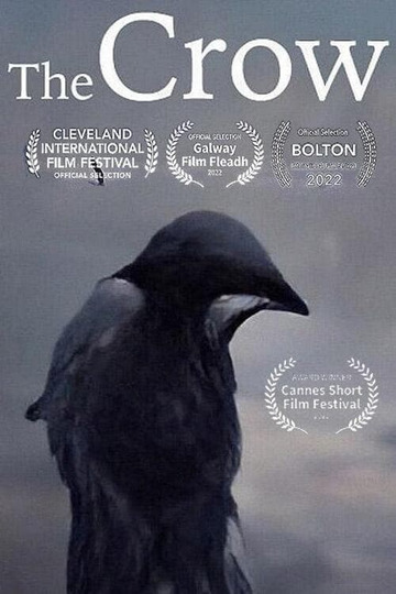 The Crow