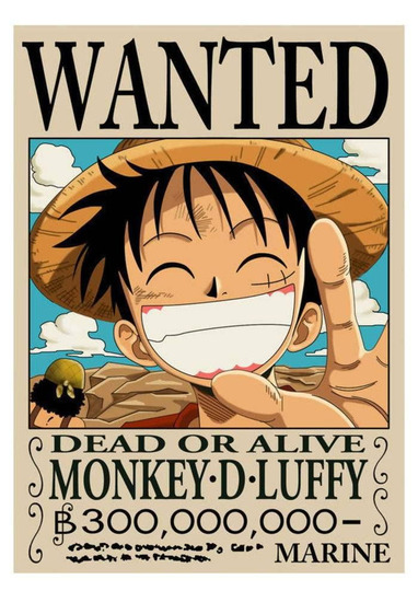 海贼王特别篇：路飞的绝技