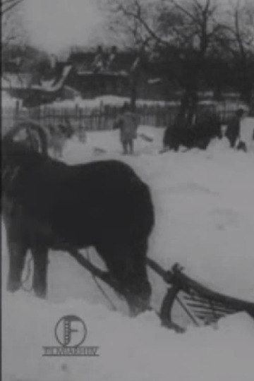 Suur lumetuisk Baltimaal jõulukuul 1913
