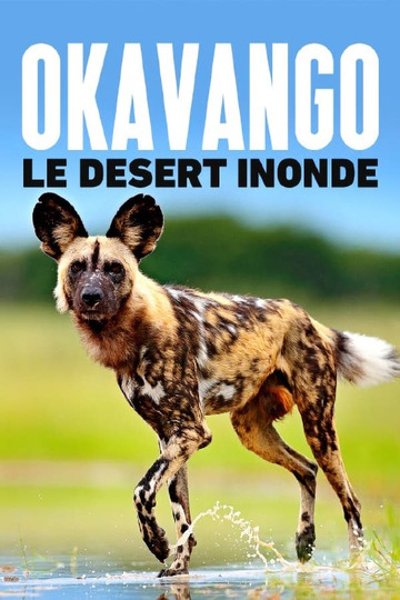 Kalahari: The Flooded Desert