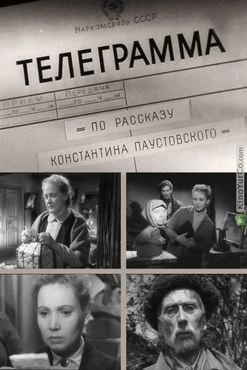 Кадры из фильмов телеграмм