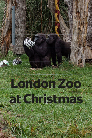 London Zoo at Christmas