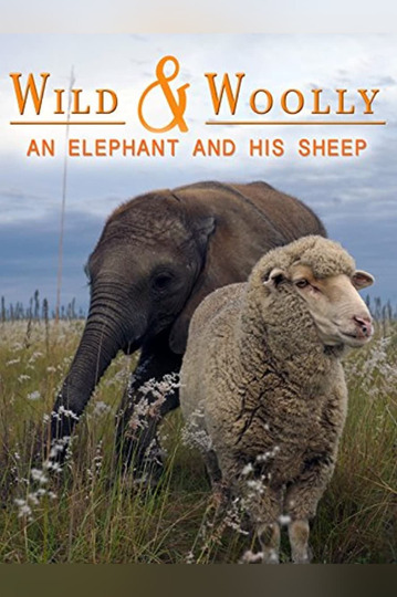 Wild & Woolly: An Elephant and His Sheep