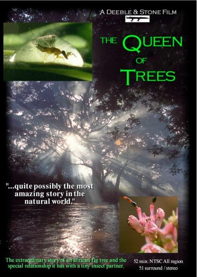 The Queen of Trees