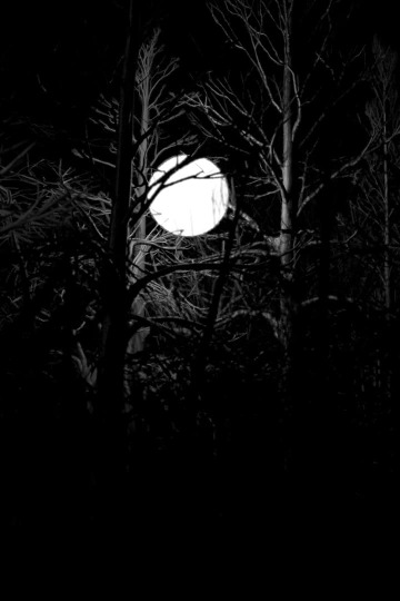 Lost moon. Moon Ghost.