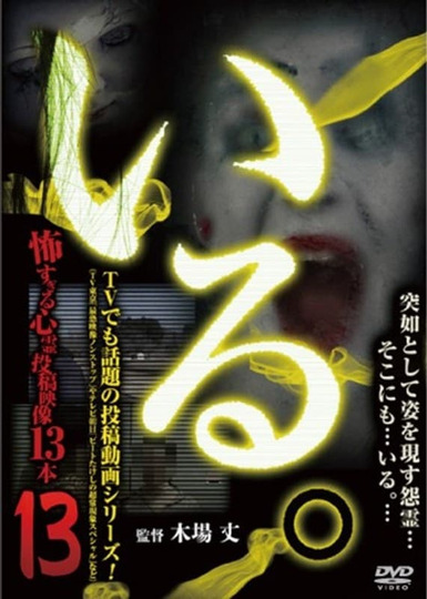 「Iru.」~ Kowasugiru Tōkō Eizō 13-hon ~ Vol.13