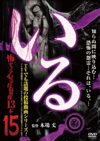 「Iru.」~ Kowasugiru Tōkō Eizō 13-hon ~ Vol.15