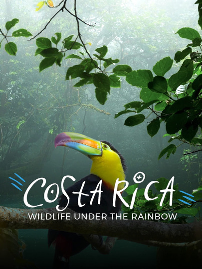 Радужный мир природы Коста-Рики