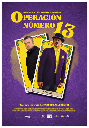 Operación número 13