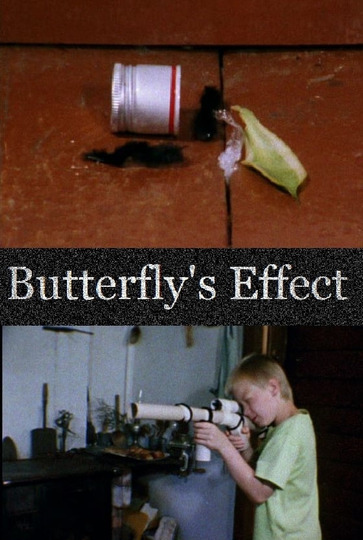 Butterfly's Effect