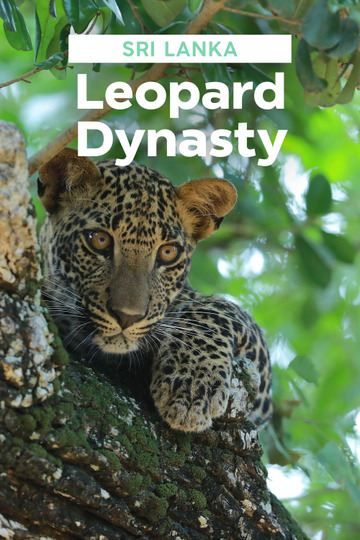 Sri Lanka: Leopard Dynasty
