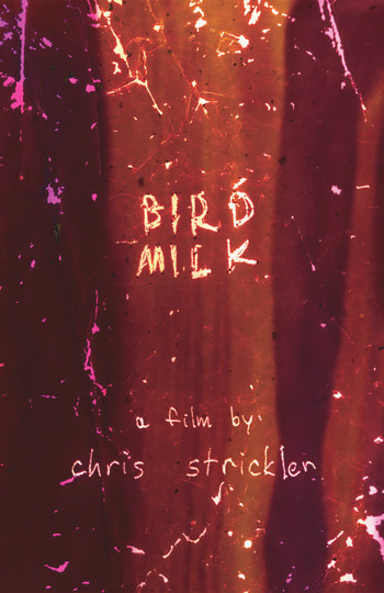 Bird Milk