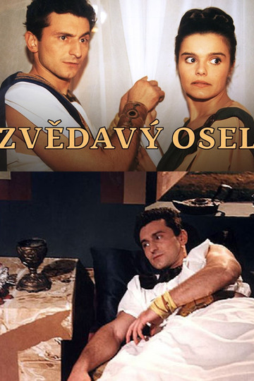 Zvědavý osel