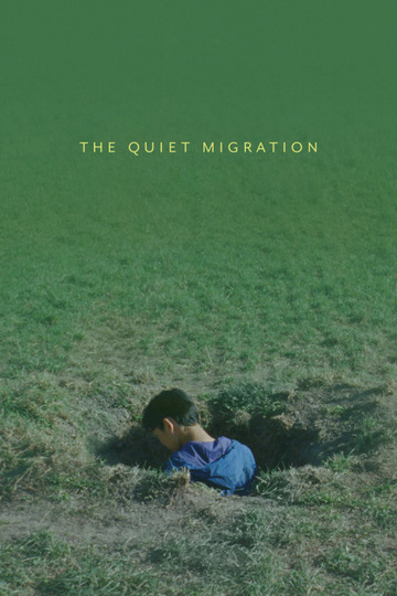 Тихая миграция