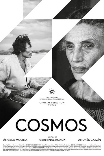 Cosmos