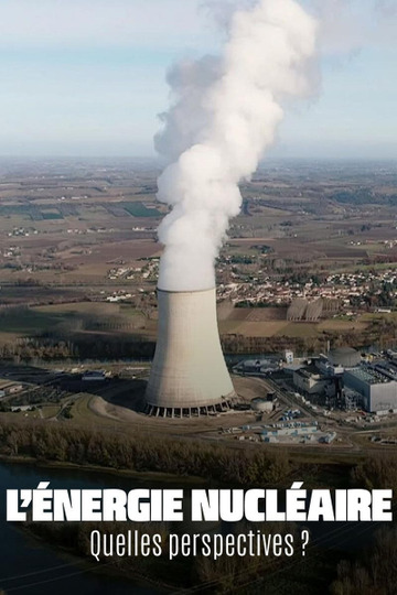 Zukunft der Atomenergie