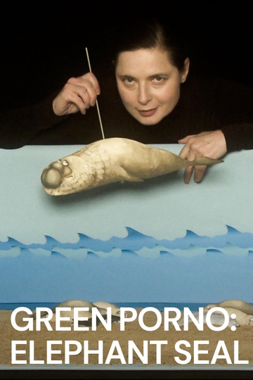 Green Porno: Elephant Seal