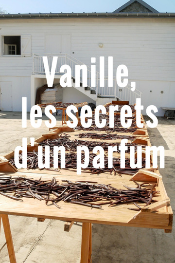 Vanille, les secrets d'un parfum