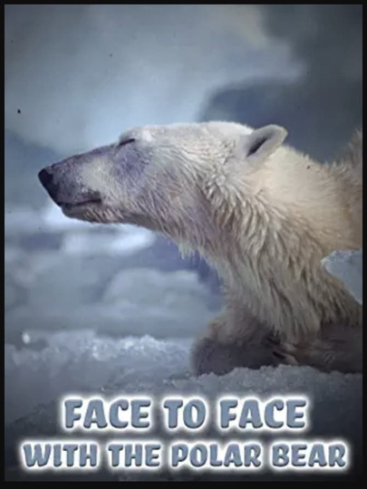 Face to Face with the Polar Bear