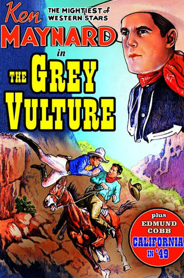 The Grey Vulture