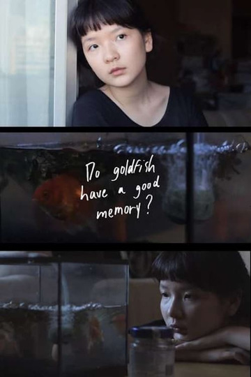 Do Goldfish Have a Good Memory?