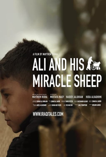 Ali and His Miracle Sheep
