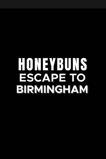 Honeybuns 3: Escape to Birmingham