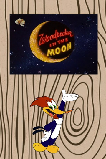 Woodpecker in the Moon