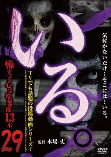「Iru.」~ Kowasugiru Tōkō Eizō 13-hon ~ Vol.29