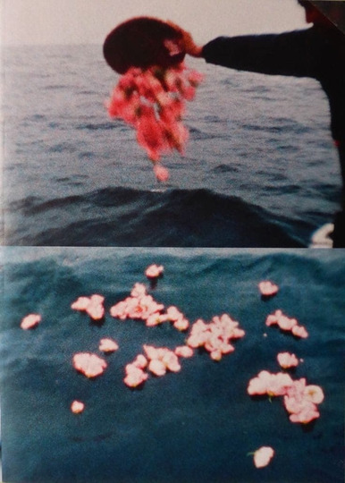 Sea and Flowers